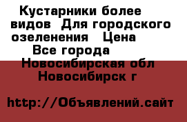 Кустарники более 100 видов. Для городского озеленения › Цена ­ 70 - Все города  »    . Новосибирская обл.,Новосибирск г.